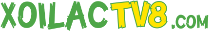 XoilacTV8 – Xem Trực Tiếp Bóng Đá Xôi Lạc, XoilacTV Miễn Phí
