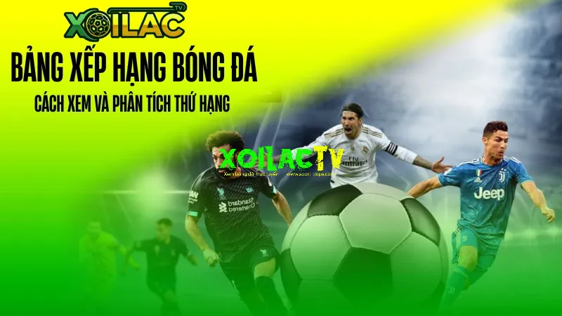 Bảng xếp hạng bóng đá - Cách xem và phân tích thứ hạng bóng đá hiệu quả